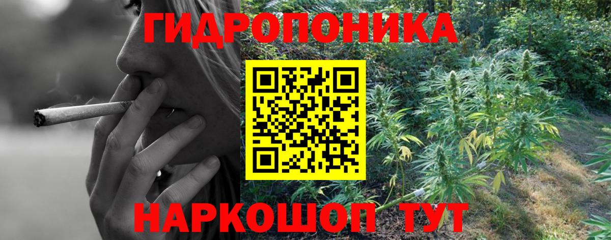 Конопля LSD WEED  Бошки марихуана семена  Бошки марихуана AK-47  Кольчугино  Вход с VPN 